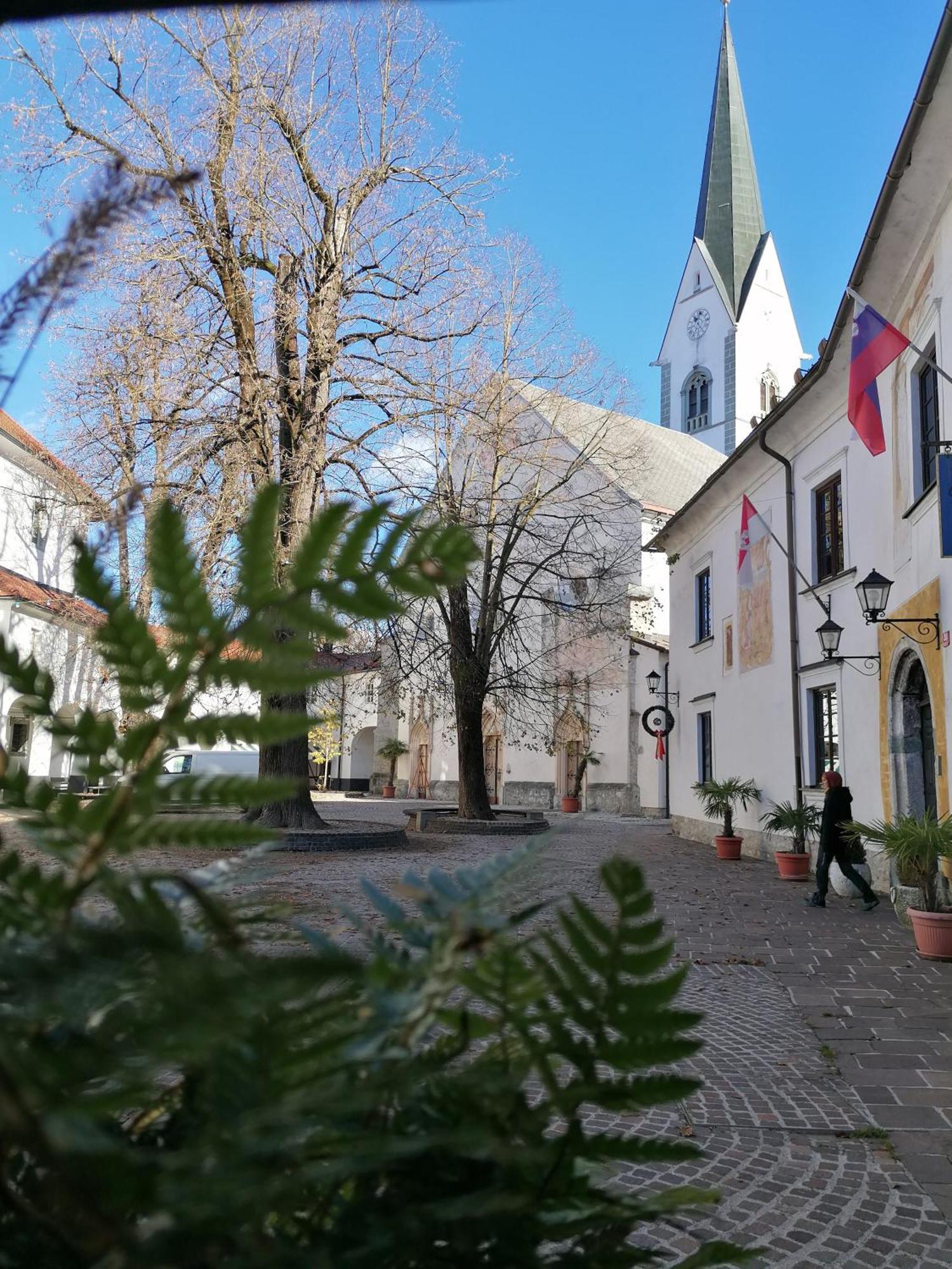Vila Radolca Apartments & Rooms ラドヴリツァ エクステリア 写真